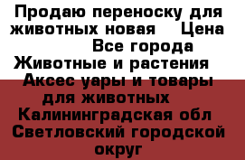 Продаю переноску для животных новая! › Цена ­ 500 - Все города Животные и растения » Аксесcуары и товары для животных   . Калининградская обл.,Светловский городской округ 